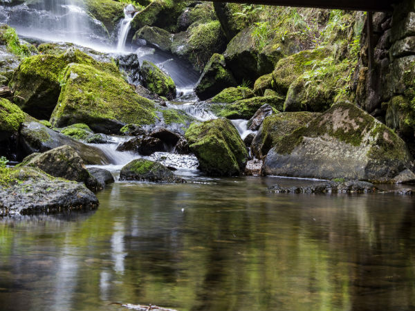 Best Time To Visit Thalaiyar Falls