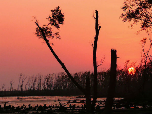 Best Time To Visit Sundarbans