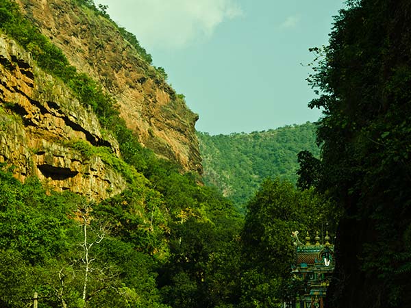 Nallamala Hills