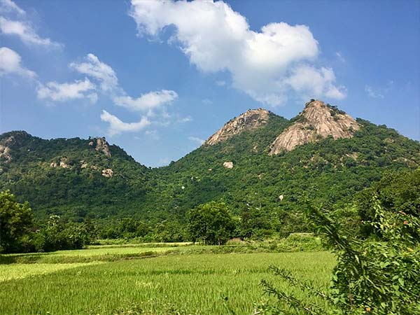 Best Time To Visit Ajodhya Hills