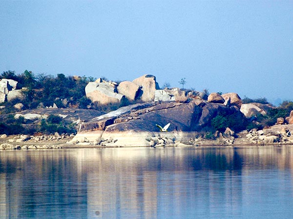 A Little About Shamirpet Lake