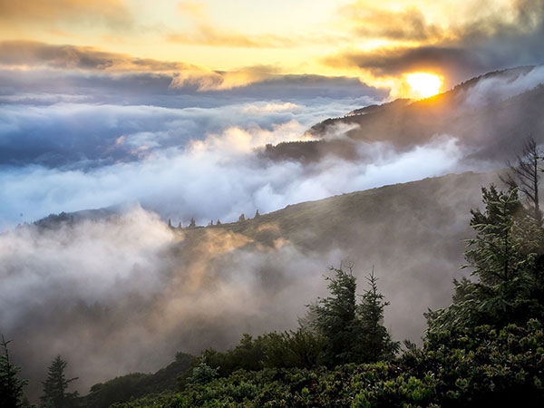 Arunachal Pradesh