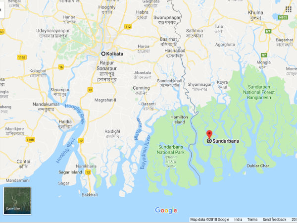 How To Reach Sundarbans From Kolkata