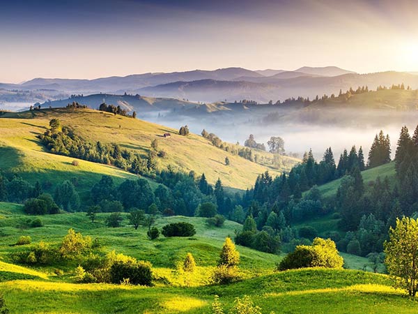 Kodaikanal