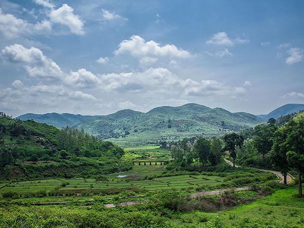 Paderu