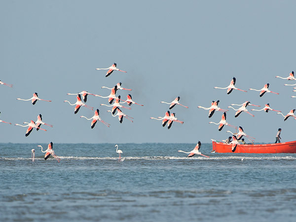 24. Porbandar
