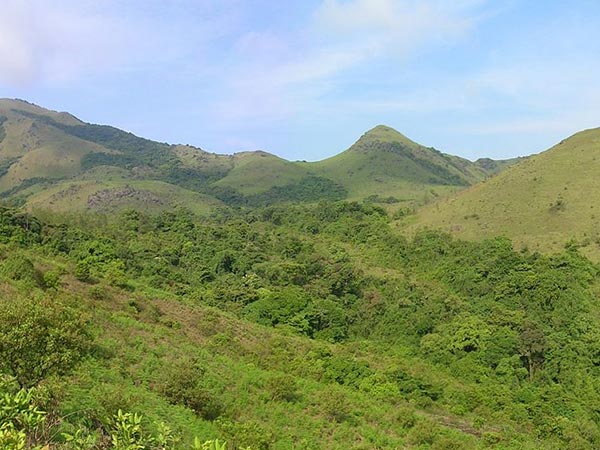 Tadiandamol