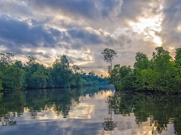 Final Destination – Henry's Island