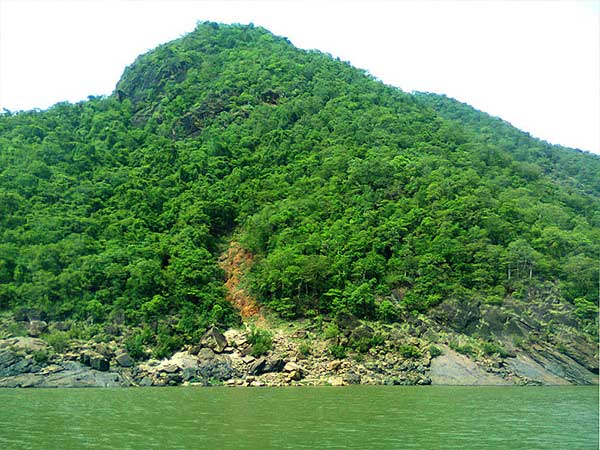 Papi Hills