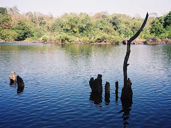 Dandeli