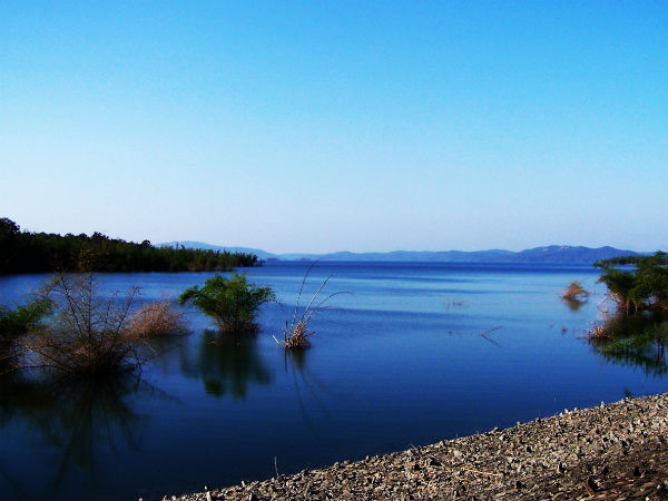 Dandeli