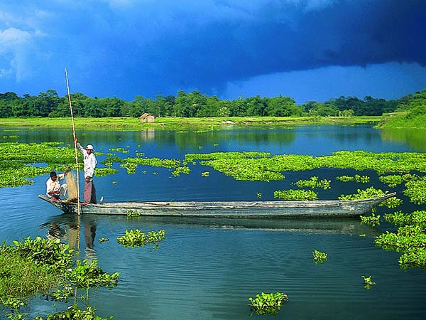 Majuli