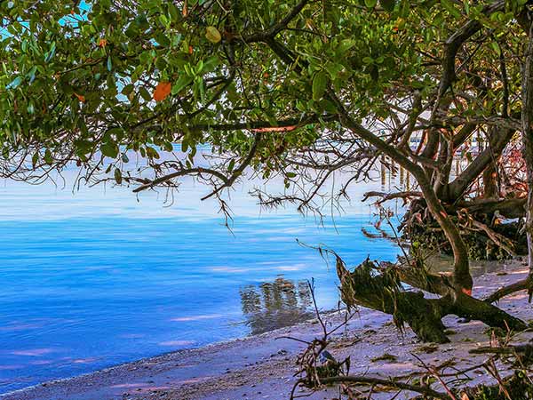 Henry's Island Beach