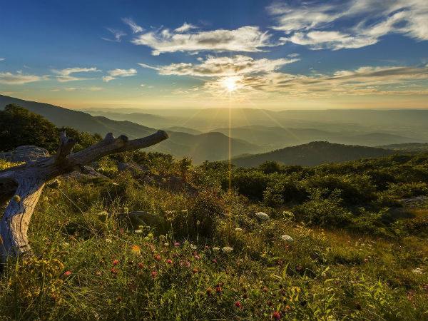 Singalila National Park