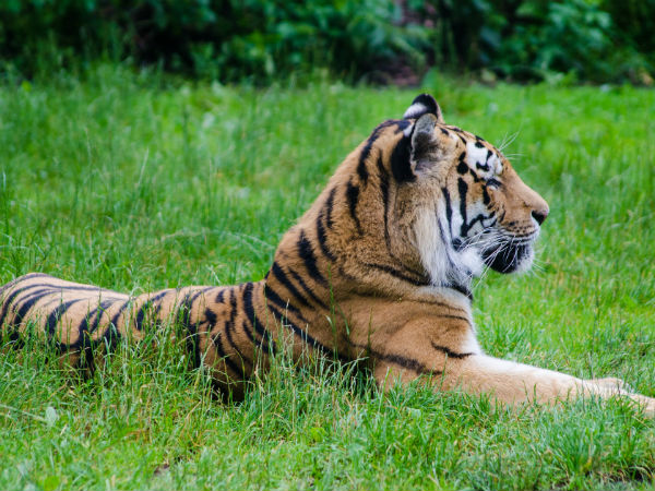 Sundarbans National Park