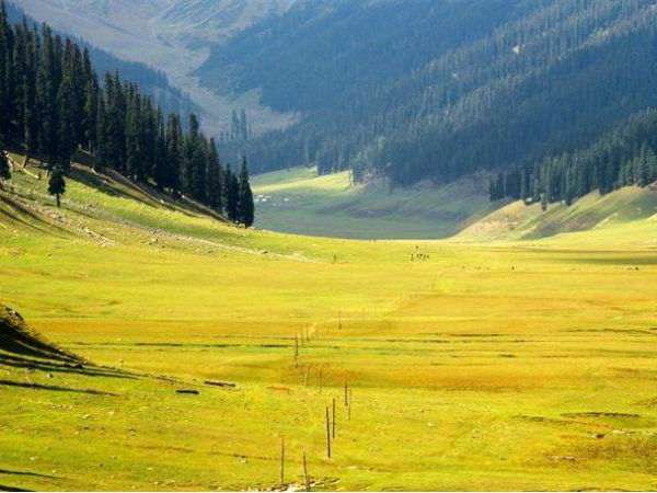 A Little About Bangus Valley