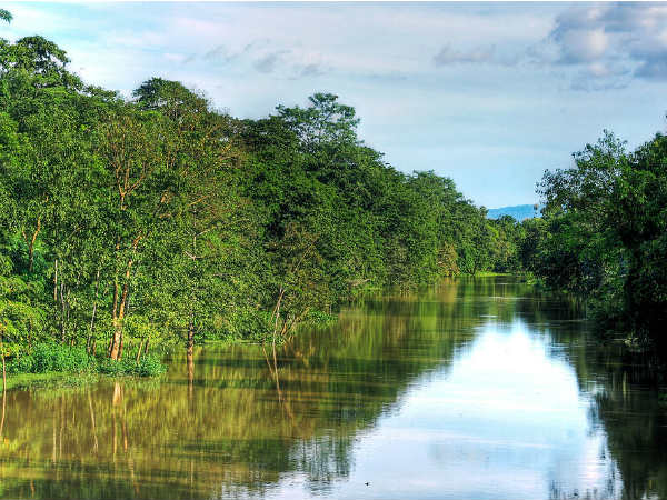 Nagaon