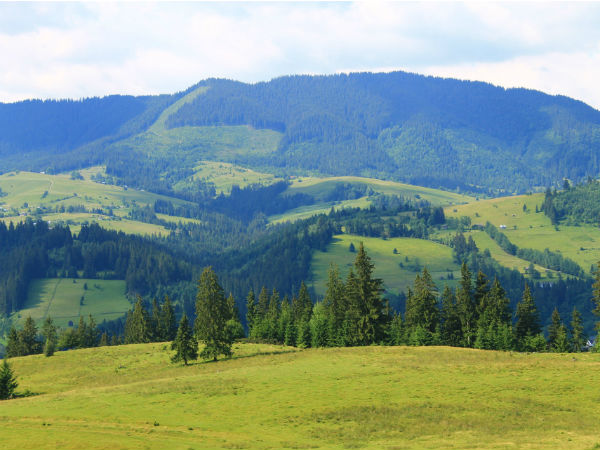 Splendour Of Bangus Valley
