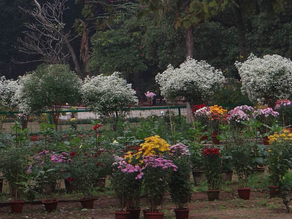 Santiniketan