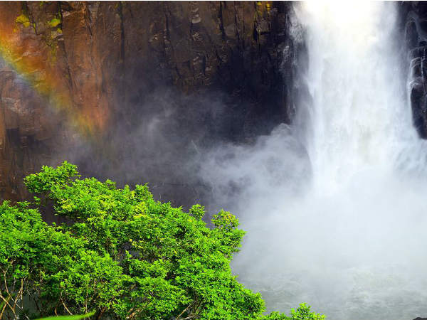 Why You Should Visit Langshiang Falls