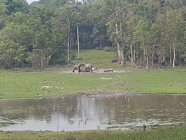 Chapramari Wildlife Sanctuary: