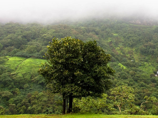 Trek To Tamhini Ghats