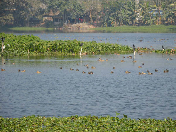 Santragachi Lake