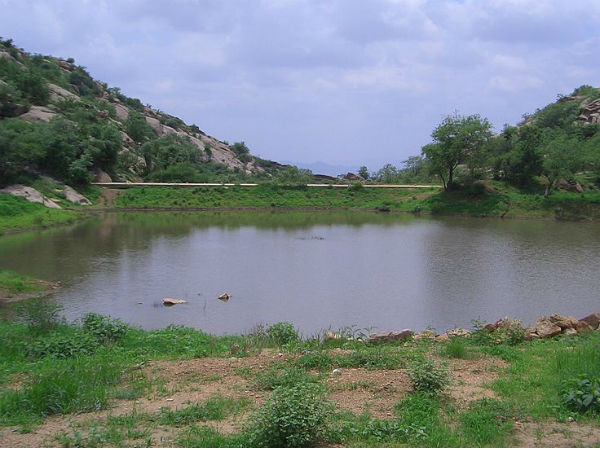 Ponds and Streams At Dhosi Hill