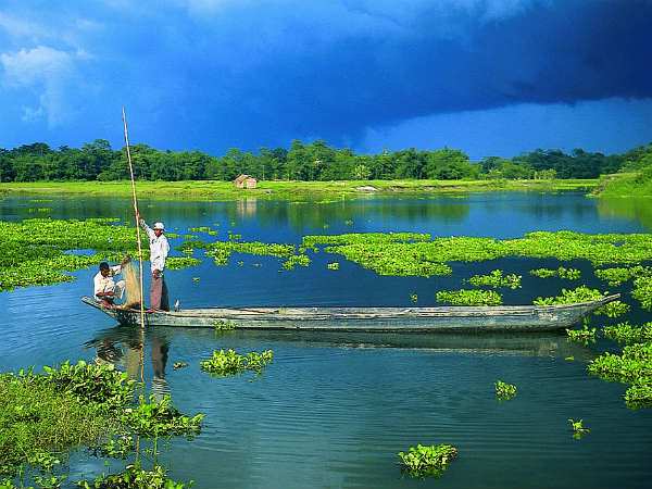 Majuli