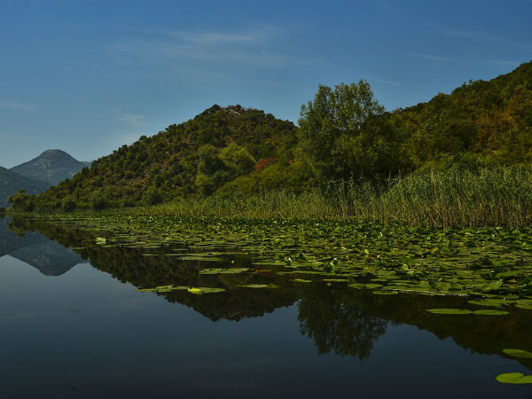 Barak Valley
