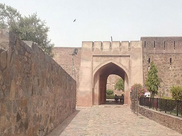 Firoz Shah Palace