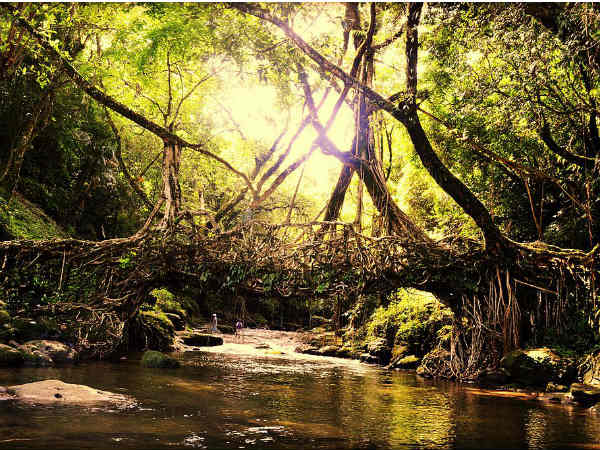 Cherrapunji