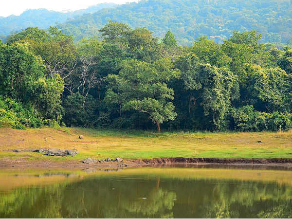 Dalma Wildlife Sanctuary