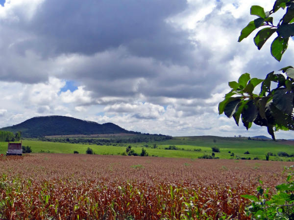 Biharinath