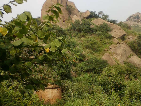 Joychandi Pahar