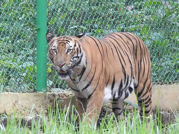 Birsa Zoological Park