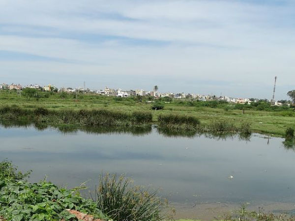 Bogadhi Lake