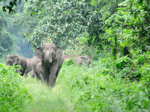 Things To Do In And Around Duarsini