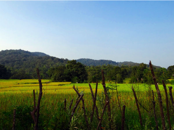 Best Time To Visit Duarsini