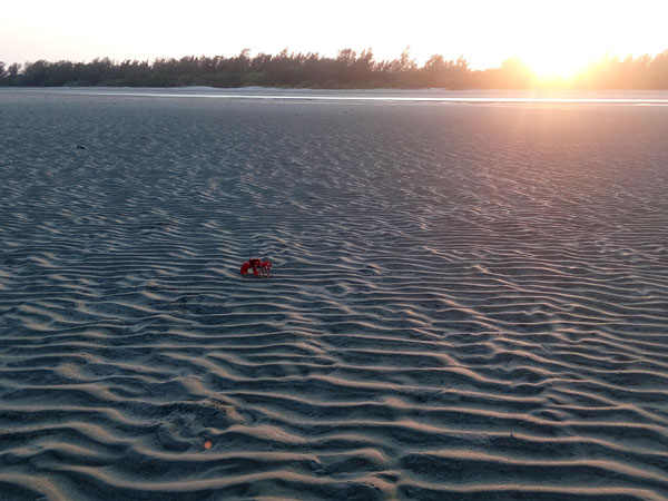 8. Henry's Island