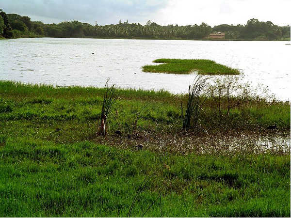 Kukkarahalli Lake