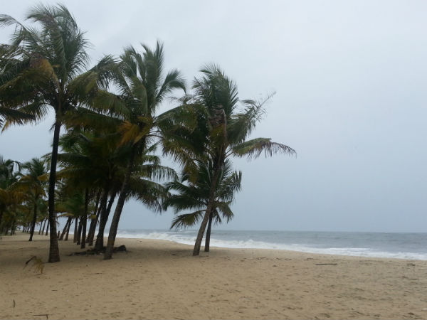 9. Marari Beach, Kerala