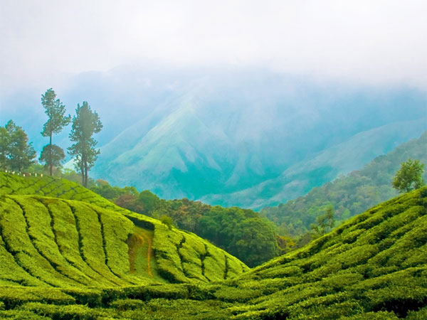 3. Munnar