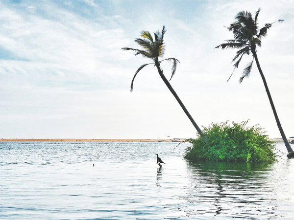 6. Poovar Beach