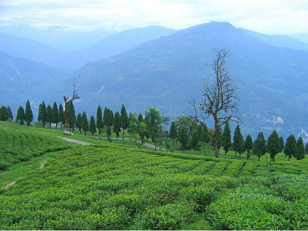 Ravangla