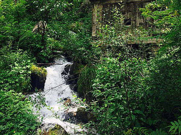 Things To Do In Pulga