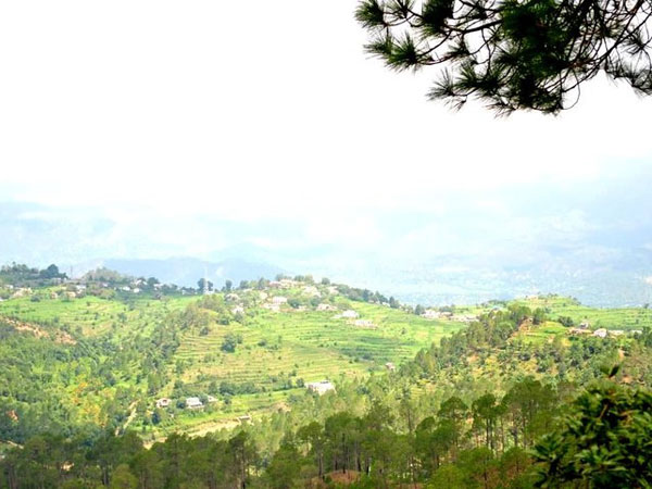 Ranikhet