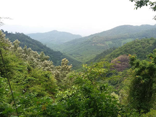 Ambanad Hills