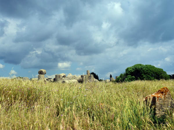 Sehore