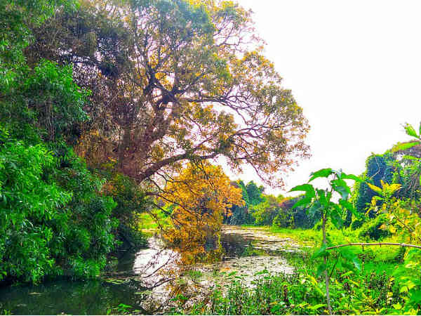 Best Time To Visit Balasore